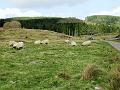 Aviemore-Fort William (49)